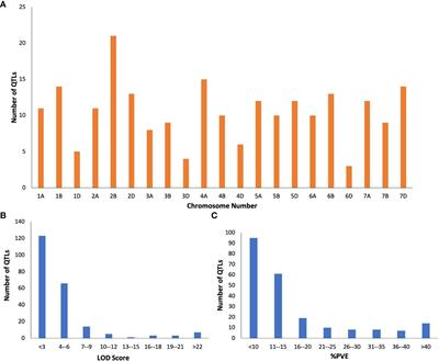 Exploring the genetic architecture of powdery mildew resistance in wheat through QTL meta-analysis